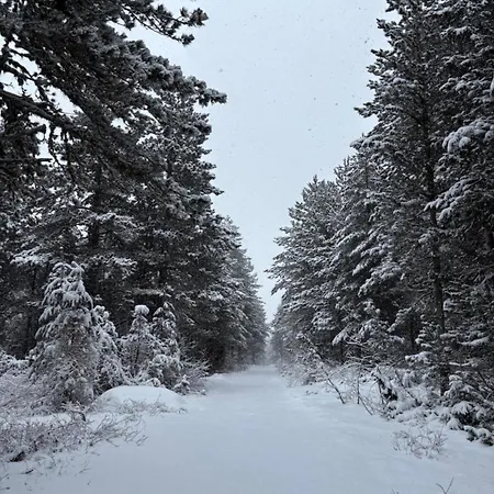 Anemar Chalet Blidinje